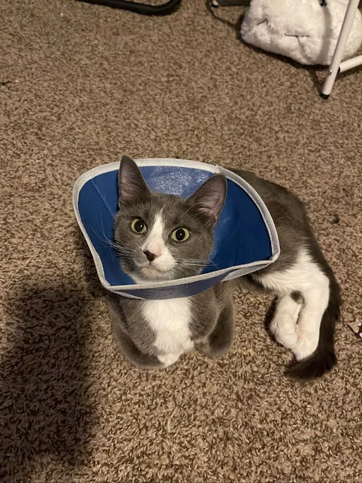 Whispering Pines Veterinary Services - Greenville 8