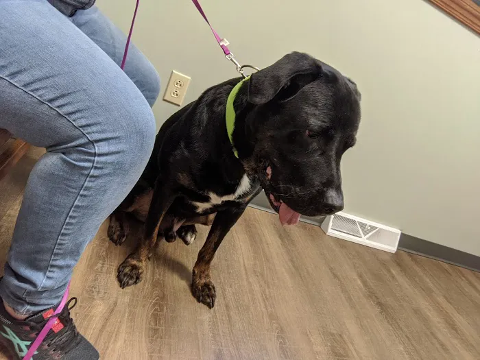 Whispering Pines Veterinary Services - Greenville 4