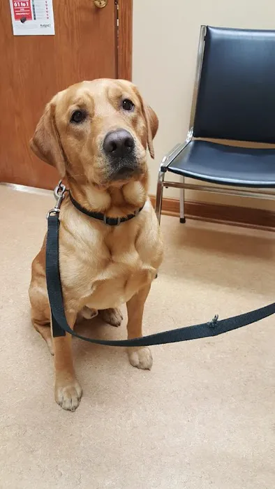 Happy Tales Veterinary Hospital 7