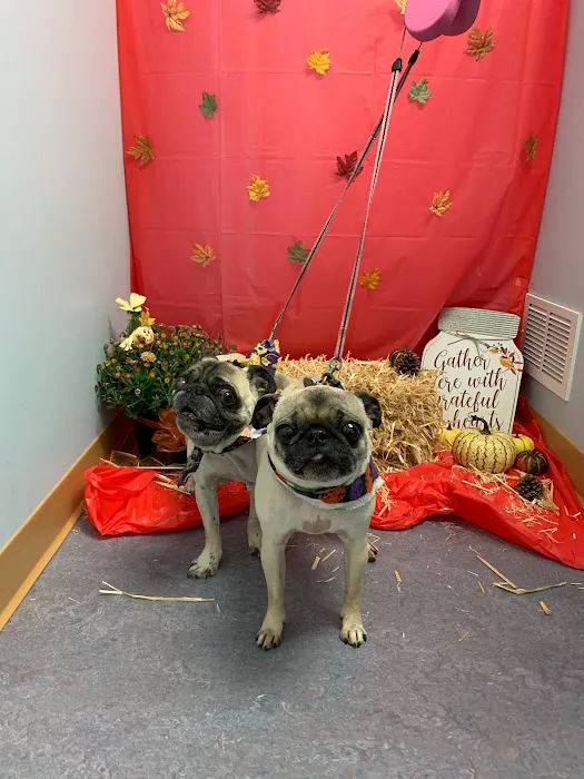 Happy Tales Veterinary Hospital 8