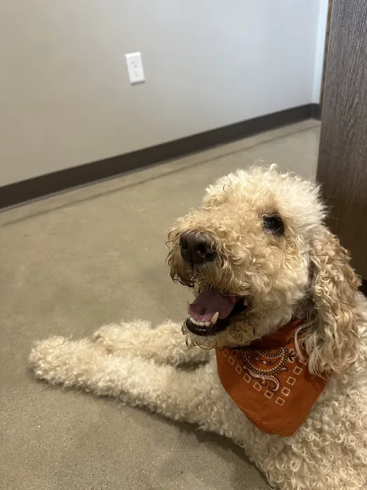 All Pets Animal Hospital (Rogers) 4