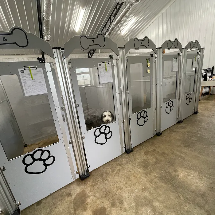 FORTY32 Animal Hospital and Surgery Center 9