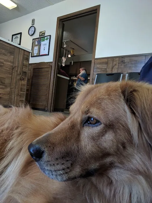 Pets First Hospital 10