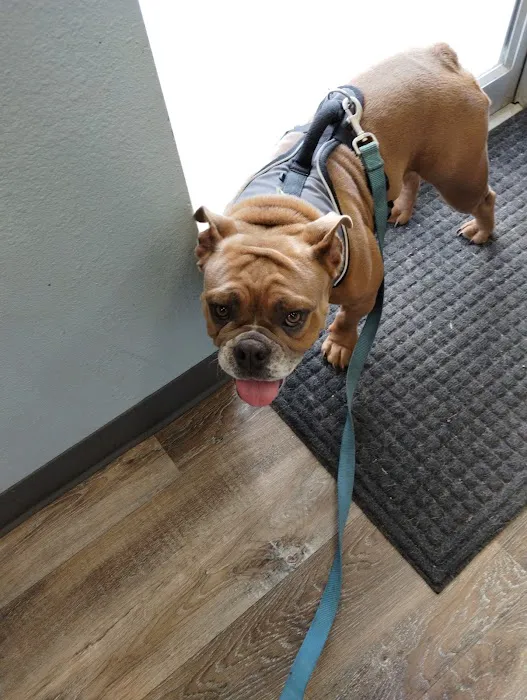 Pets First Hospital 7