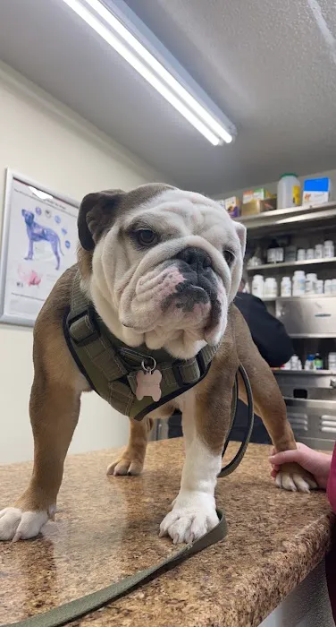 Baxter Springs Animal Hospital 4