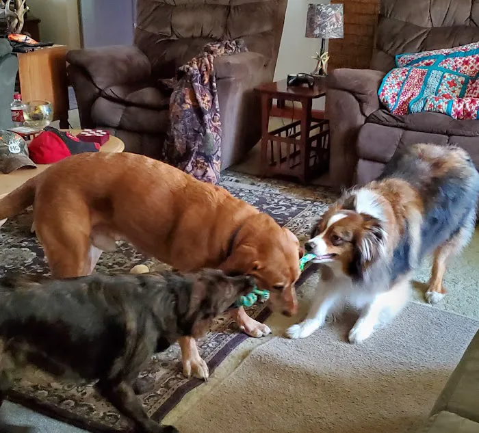 Columbus Veterinary Clinic 8