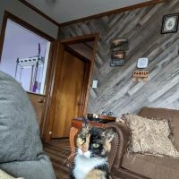 Columbus Veterinary Clinic ico