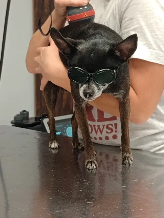 Columbus Veterinary Clinic 5