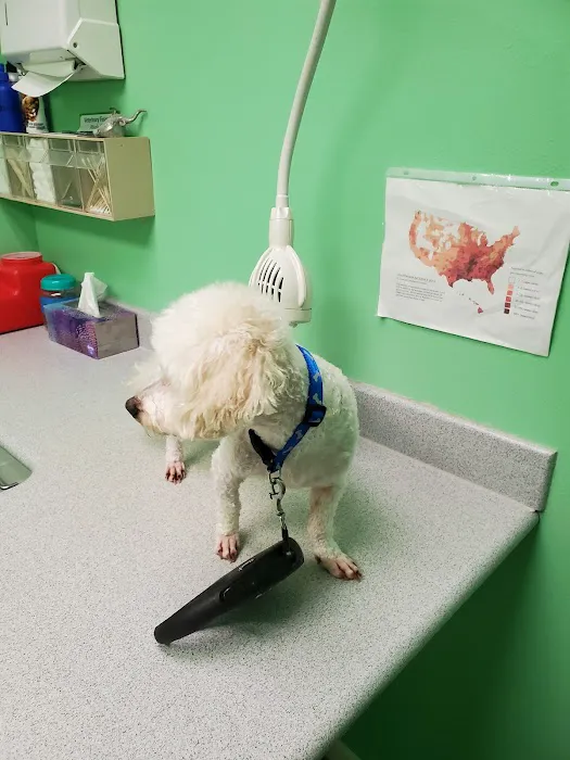 Locust Grove Animal Clinic 4