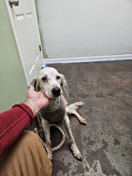 Locust Grove Animal Clinic 5