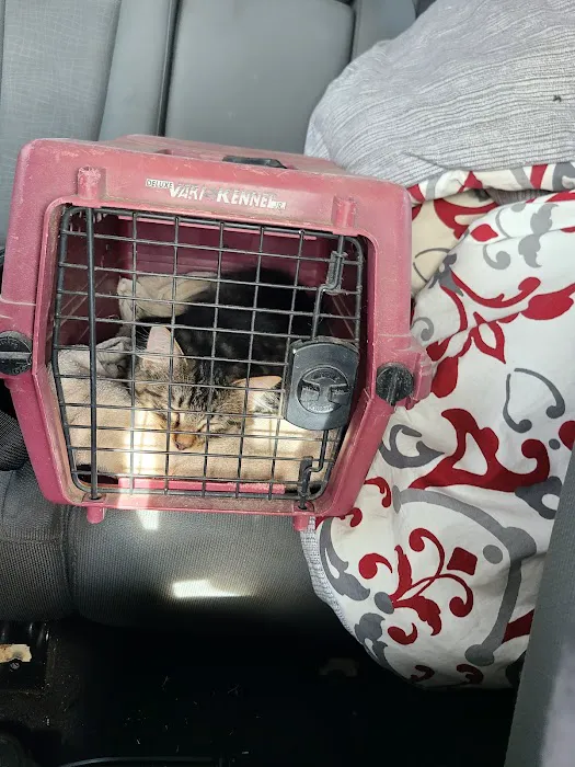 Salina Animal Medical Clinic 5