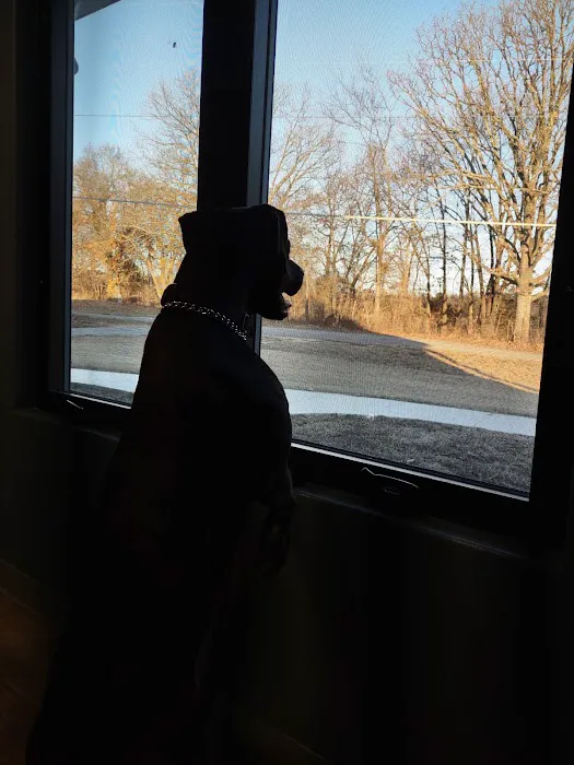 Walnut Grove Animal Clinic 5