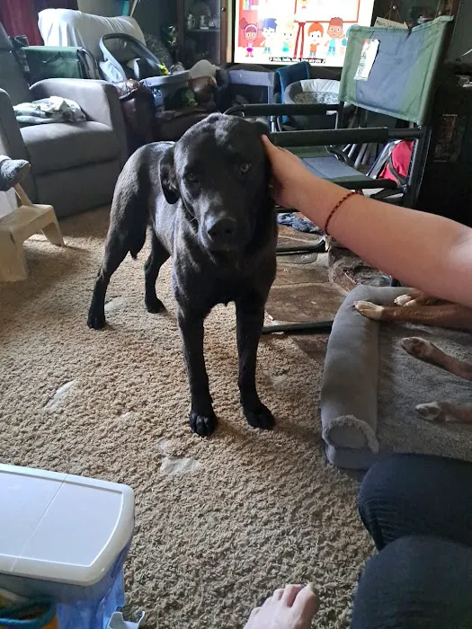 Walnut Grove Animal Clinic 6