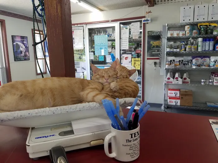 Associated Veterinary Clinic 1