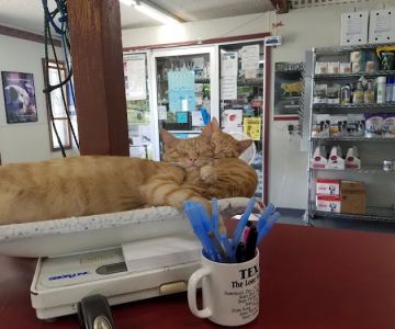Associated Veterinary Clinic