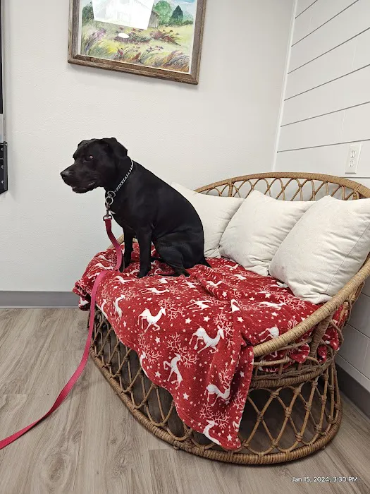 Premier Pet Clinic 7