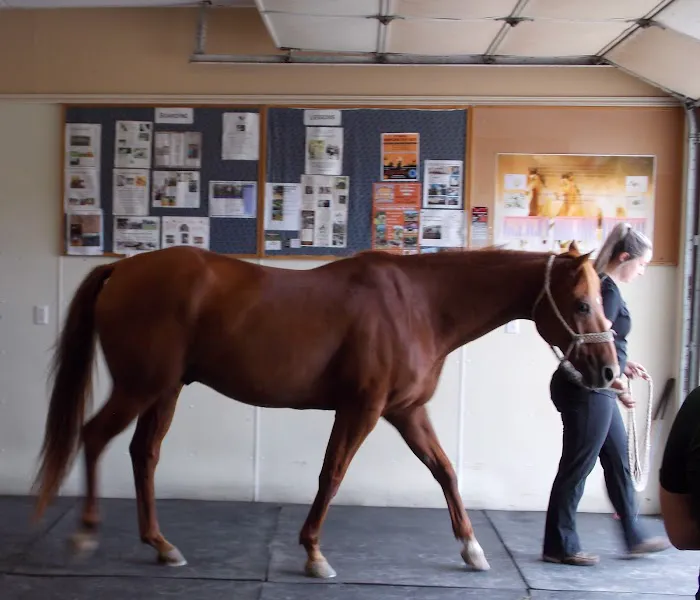 Northwest Equine Services 1