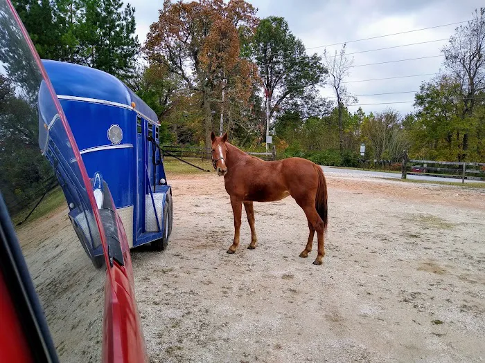 Northwest Equine Services 2