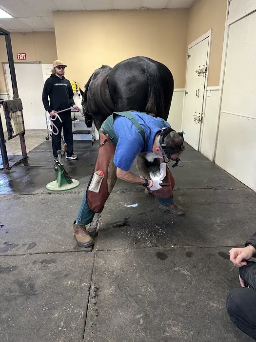 Northwest Equine Services 6