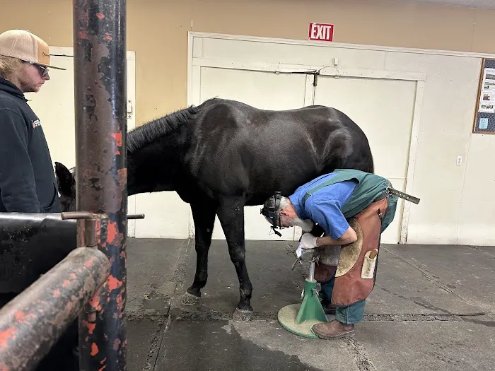 Northwest Equine Services 9