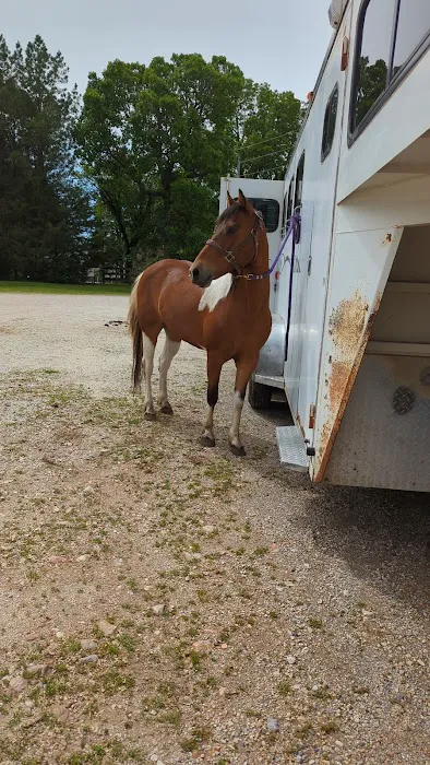 Northwest Equine Services 8