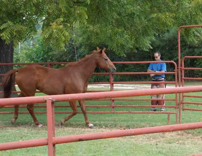 Northwest Equine Services 5
