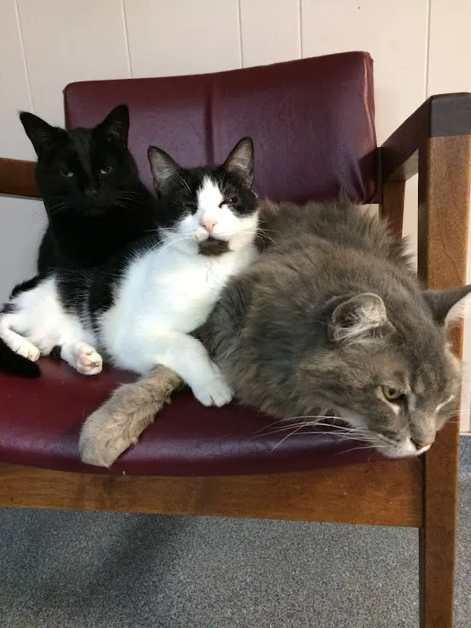 Smithers Animal Hospital of Lincoln 6