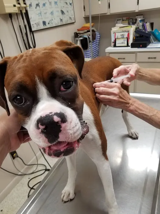 Smithers Animal Hospital of Lincoln 8