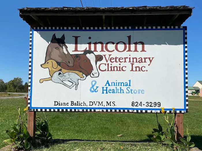 Smithers Animal Hospital of Lincoln 10