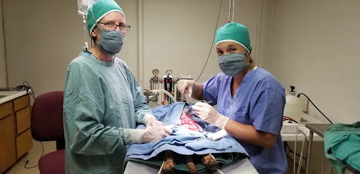 Smithers Animal Hospital of Lincoln 1