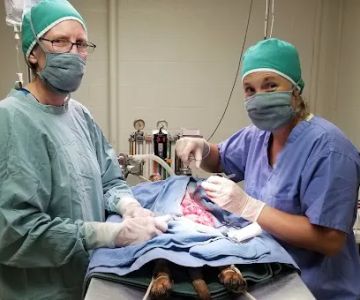 Smithers Animal Hospital of Lincoln