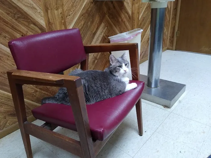 Smithers Animal Hospital of Lincoln 4