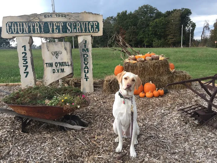 Country Veterinary Services Inc 9