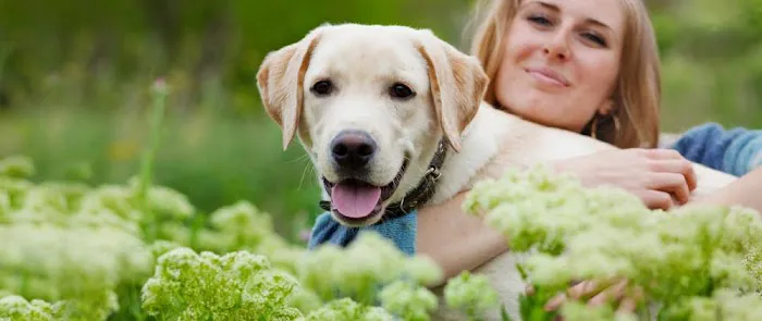 Wedington Animal Hospital 2