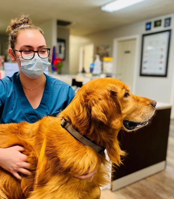 Wedington Animal Hospital 8