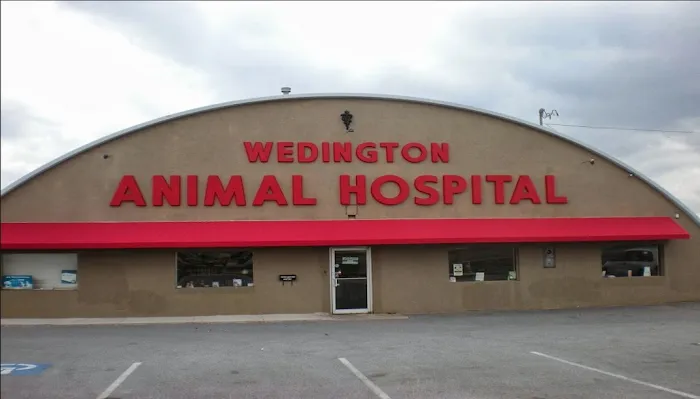 Wedington Animal Hospital 6