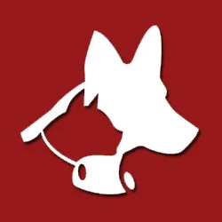 Farmington Veterinary Clinic, A Thrive Pet Healthcare Partner 2