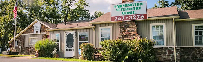 Farmington Veterinary Clinic, A Thrive Pet Healthcare Partner 4