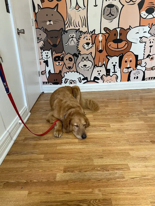 Farmington Veterinary Clinic, A Thrive Pet Healthcare Partner 3
