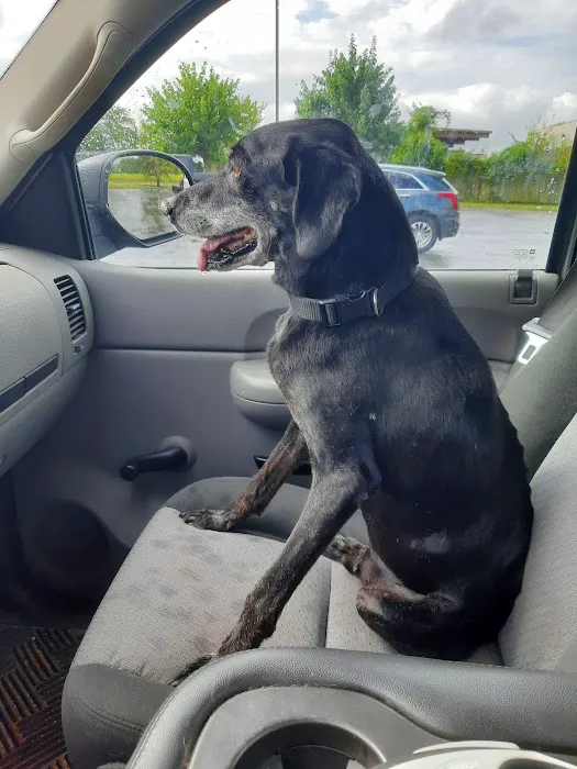 Animal Emergency and Specialty Center of Northwest Arkansas 2