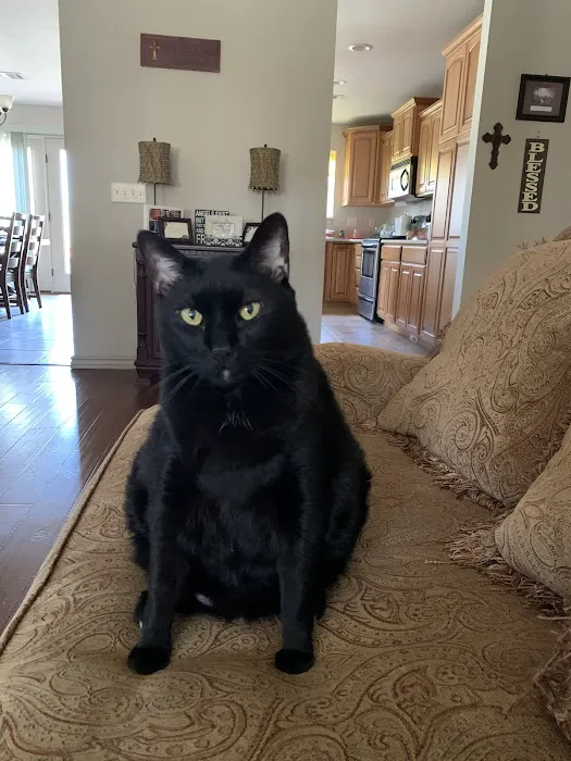 Animal Emergency and Specialty Center of Northwest Arkansas 6