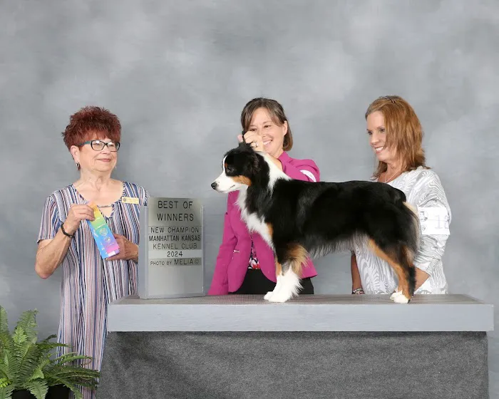Animal Emergency and Specialty Center of Northwest Arkansas 1