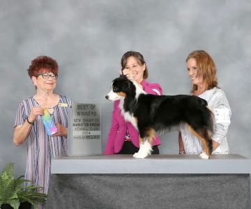 Animal Emergency and Specialty Center of Northwest Arkansas