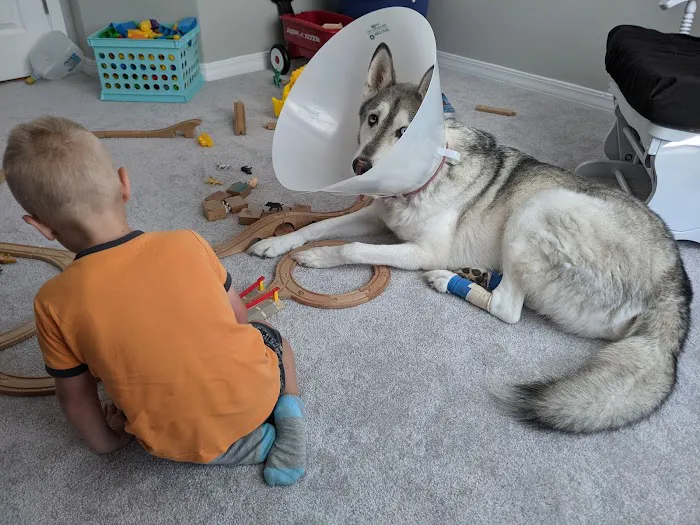 Davis Animal Hospital 5