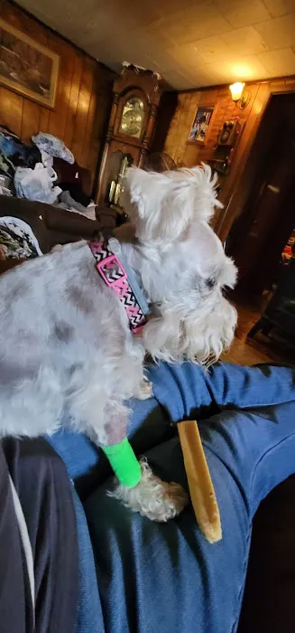 Davis Animal Hospital 9
