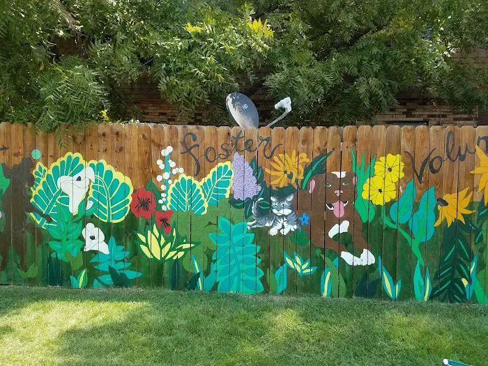 Spay Arkansas 6