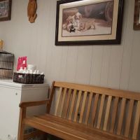 Southwest Pet Hospital ico