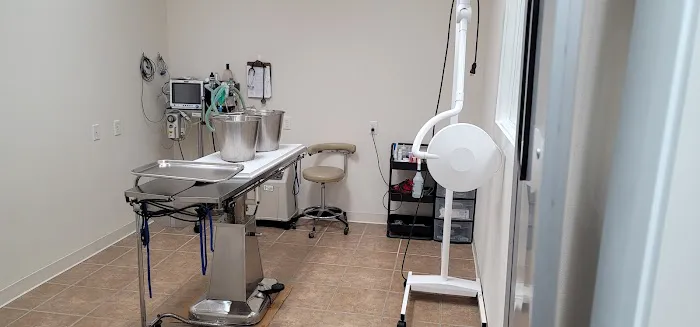St Francis Animal Hospital 9