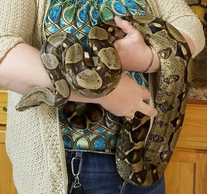 St Francis Animal Hospital 7