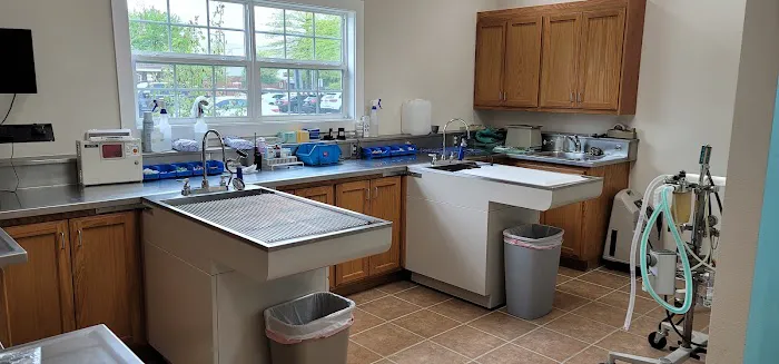 St Francis Animal Hospital 2